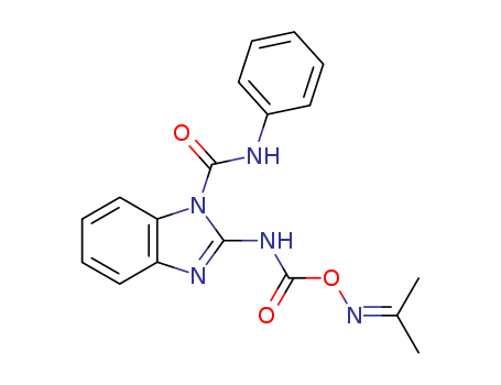 Click to see the large picture