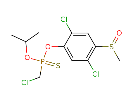 Click to see the large picture