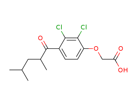 Click to see the large picture