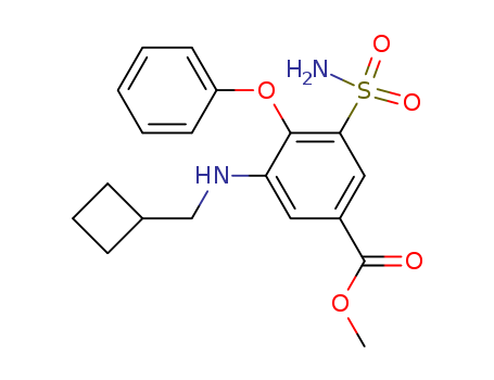 Click to see the large picture