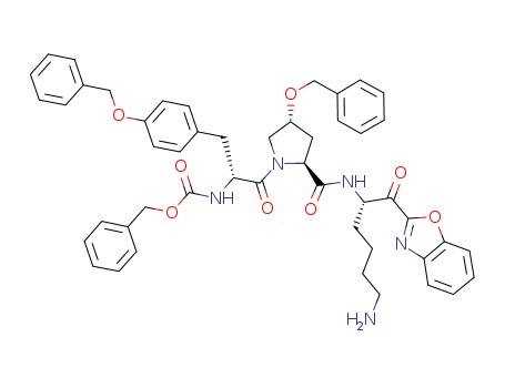 Click to see the large picture