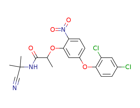 Click to see the large picture