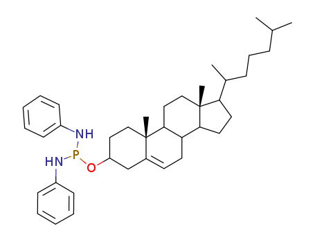 Click to see the large picture