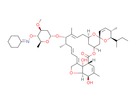 Click to see the large picture