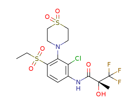 Click to see the large picture