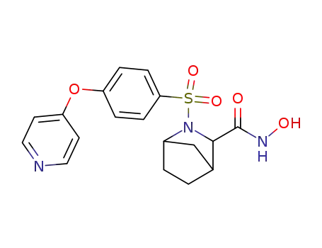 Molecular Structure of 529478-20-4 (2-Azabicyclo[2.2.1]heptane-3-carboxamide,
N-hydroxy-2-[[4-(4-pyridinyloxy)phenyl]sulfonyl]-)