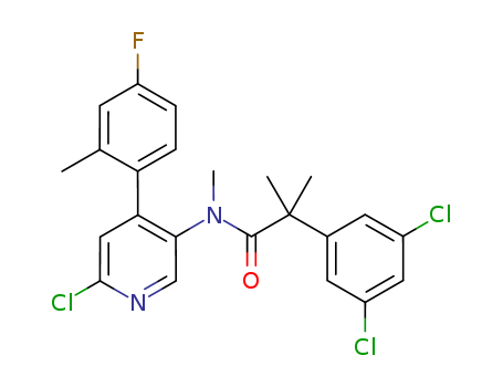 Click to see the large picture