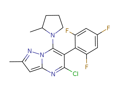 Click to see the large picture