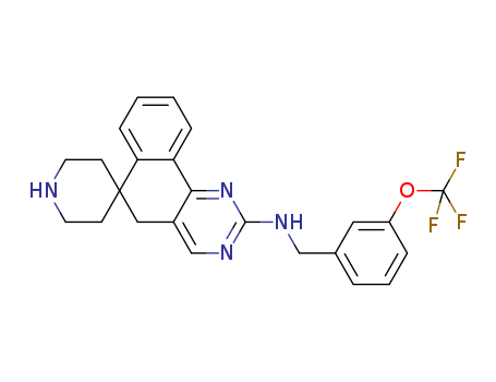 Click to see the large picture