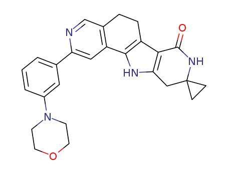 Click to see the large picture