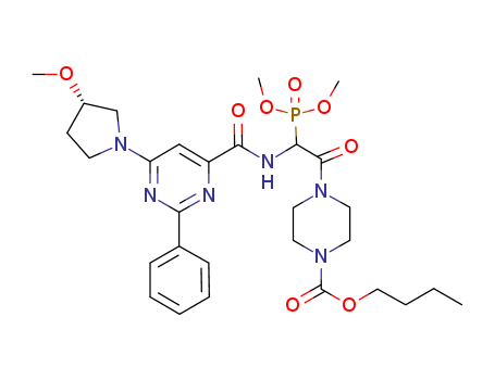 Click to see the large picture