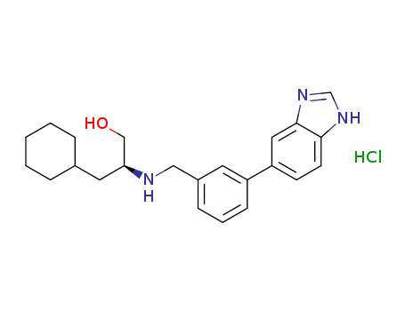 Click to see the large picture