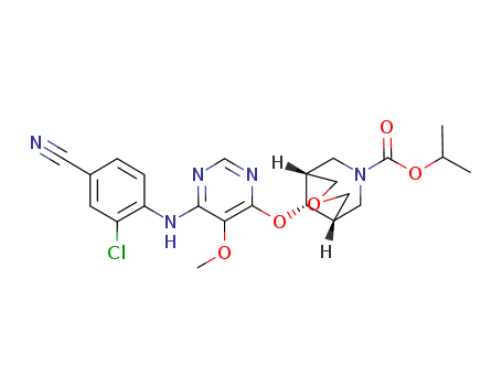 Click to see the large picture