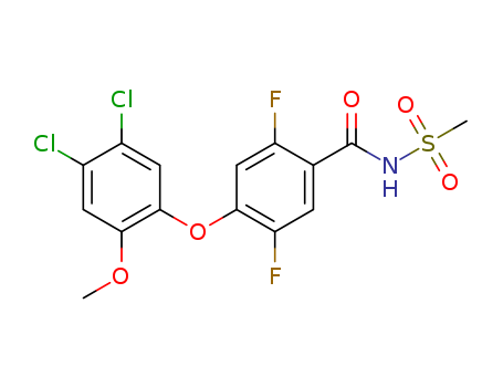 Click to see the large picture