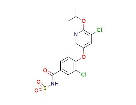 Click to see the large picture