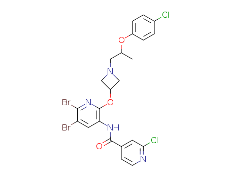 Click to see the large picture