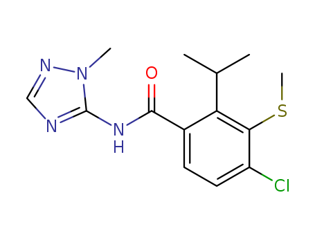 Click to see the large picture