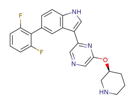 Click to see the large picture