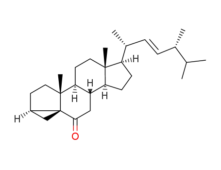 Molecular Structure of 3152-46-3 ((22E)-3α,5-cyclo-5α-ergosta-22-en-6-one)