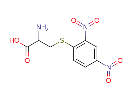 Molecular Structure of 3165-76-2 (S-(2,4-Dinitrophenyl)-cystein)