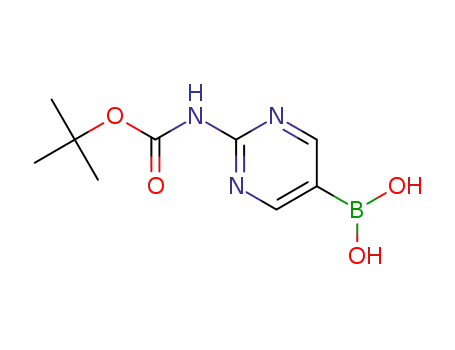 Molecular Structure of 883231-25-2 ([2-[(tert-Butoxycarbonyl)amino]pyrimidin-5-yl]boronic acid)