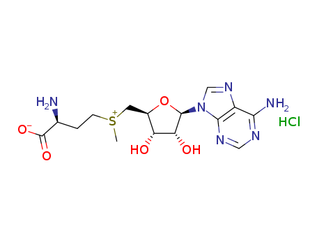 Adenosine,5'-[[(3S)-3-amino-3-carboxypropyl]methylsulfonio]-5'-deoxy-, chloride (1:1)(24346-00-7)