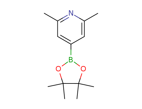 2,6-Dimethylpyridine-4-boronic acid, pinacol ester