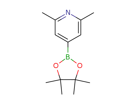 Molecular Structure of 325142-95-8 (2,6-Dimethylpyridine-4-boronic acid, pinacol ester)