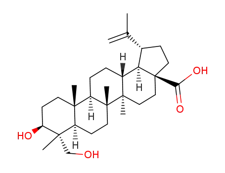 Molecular Structure of 85999-40-2 (23-Hydroxybetulinic acid)