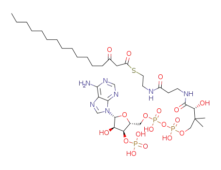 Molecular Structure of 34619-89-1 (beta-ketohexadecanoyl-coenzyme A)