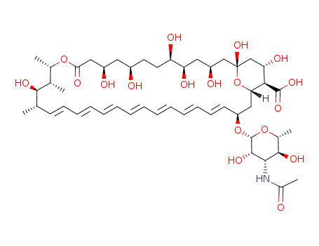 N-Acetyl Amphotericin B(902457-23-2)