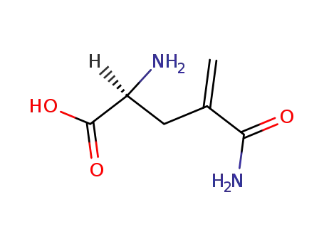 Molecular Structure of 31138-12-2 (4-Methylene-L-glutamine)