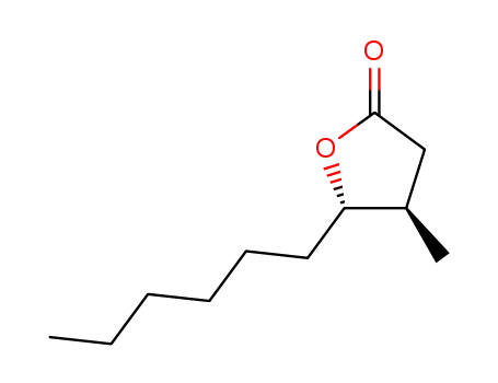 Molecular Structure of 67663-01-8 (5-hexyldihydro-4-methylfuran-2(3H)-one)