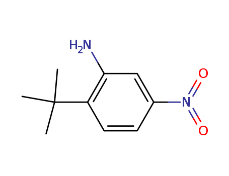 2-(tert-butyl)-5-nitroaniline Cas no.103392-84-3 98%