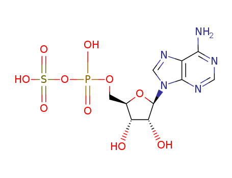 [(2R,3S,4R,5R)-5-(6-aminopurin-9-yl)-3,4-dihydroxyoxolan-2-yl]methylsulfo hydrogen phosphate