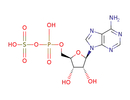 Molecular Structure of 485-84-7 (6-amino-9-[3,4-dihydroxy-5-[(hydroxy-sulfooxy-phosphoryl)oxymethyl]oxolan-2-yl]-purine)
