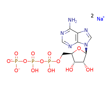 987-65-5,Adenosine 5'-triphosphate disodium salt,ATP disodium;ATP disodiumsalt;Adenosine5'-(tetrahydrogen triphosphate), disodium salt (8CI,9CI);Adenosine triphosphate disodiumsalt;Adetphos;Disodium ATP;Disodium adenosine 5'-triphosphate;Disodiumadenosine triphosphate;Disodium adenosine-5'-triphosphoric acid;Disodiumdihydrogen ATP;NSC 20268;Adenosine 5'-triphosphate disodium salt;