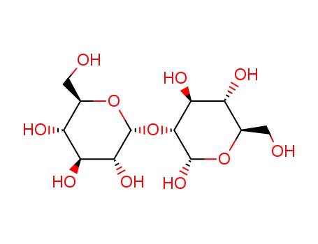 Molecular Structure of 37169-66-7 (2-O-alpha-D-glucopyranosyl-alpha-D-glucose)