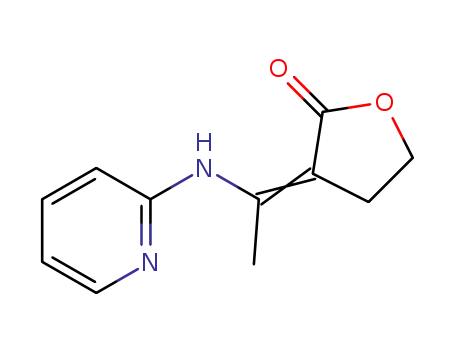 Molecular Structure of 380634-63-9 (3-(1-(pyridin-2-ylamino)ethylidene)dihydrofuran-2-(3H)-one)