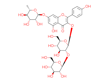 Kaempferol3-sophoroside-7-rhamnoside