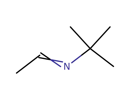 Molecular Structure of 7020-80-6 (N-ETHYLIDENE TERT-BUTYLAMINE)