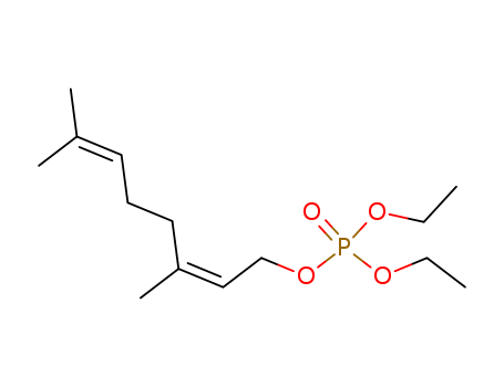 Click to see the large picture