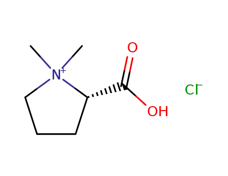 Molecular Structure of 4136-37-2 (Stachydrine Hydrochloride)