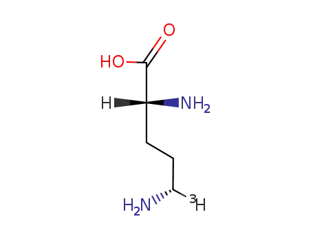 (5RS)-<5-(3)H>-L-ornithine