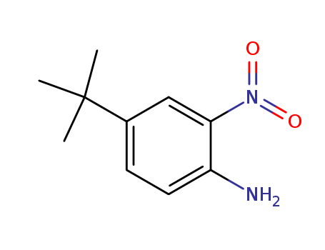 4-tert-butyl-2-nitrobenzenamine 6310-19-6