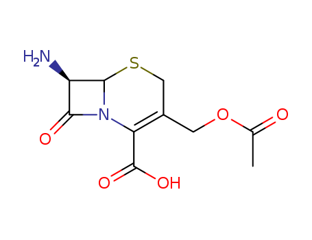 7β-Aminocephalosporanic acid