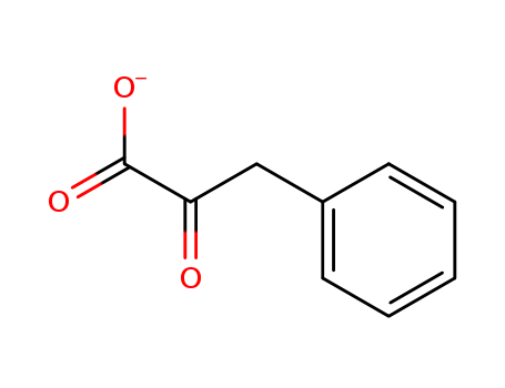 phenylpyruvate<sup>-</sup>