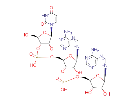 Molecular Structure of 2889-33-0 (Adenosine, uridylyl-(3'&reg;5')-adenylyl-(3'&reg;5')- (7CI,8CI,9CI))