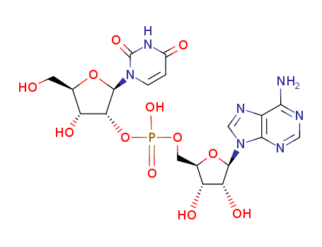 10453-52-8,uridylyl-(2'-5')-adenosine,Uridine,adenylyl-(5'®2')-(8CI); Uridylyl-(2'®5')-adenosine