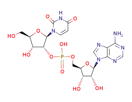 Molecular Structure of 10453-52-8 (uridylyl-(2'-5')-adenosine)